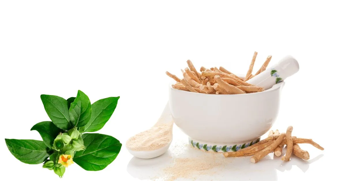 How Long Does Ashwagandha Take to Work?